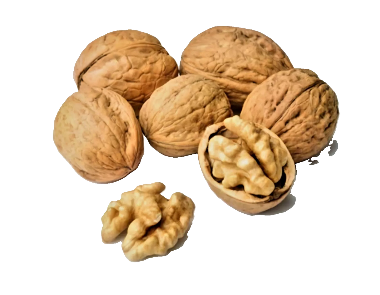 Noix en coque - fruit sec naturel et savoureux